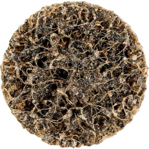 PFERD TOOLS 42761251 Schleifteller Durchmesser 25 mm