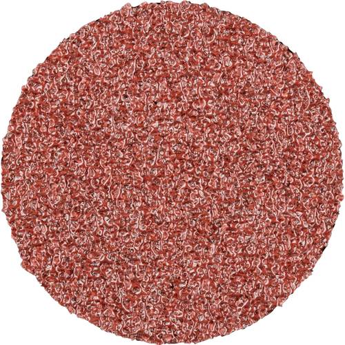 PFERD TOOLS CDR 25 A 60 42770306 Schleifblatt Körnung (num) 60 (Ø) 25 mm 100 St.