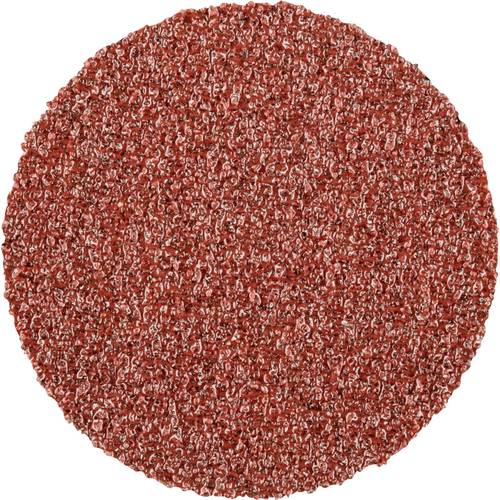 PFERD TOOLS CDR 25 A 80 42770308 Schleifblatt Körnung (num) 80 (Ø) 25 mm 100 St.