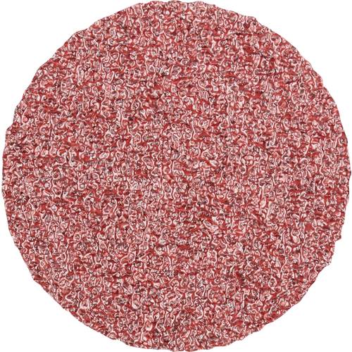 PFERD TOOLS CDR 25 A 60 FORTE 42771306 Schleifblatt Körnung (num) 60 (Ø) 25 mm 100 St.