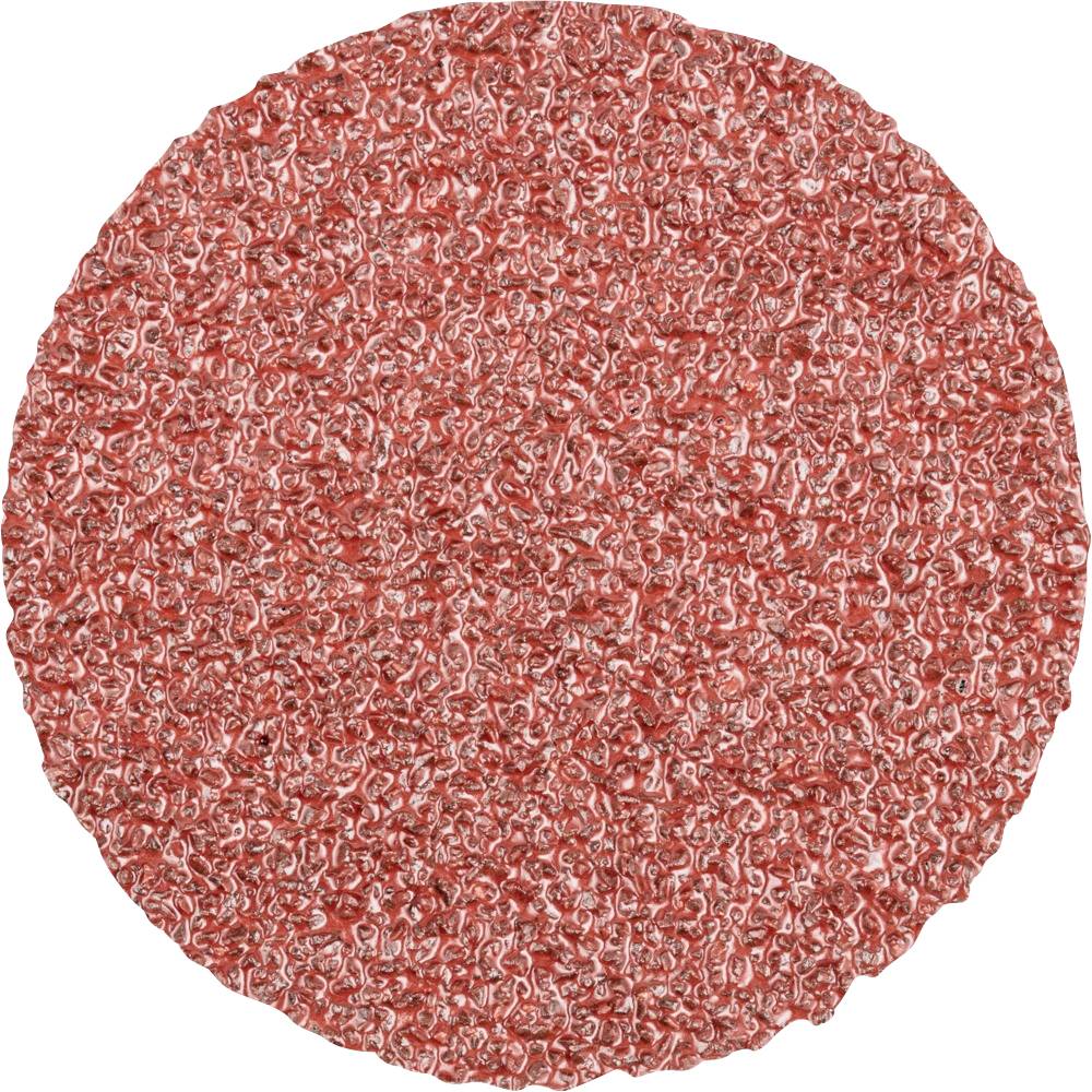 PFERD TOOLS CDR 50 A 36 FORTE 42771503 Schleifblatt Körnung (num) 36 (Ø) 50 mm 100 St.