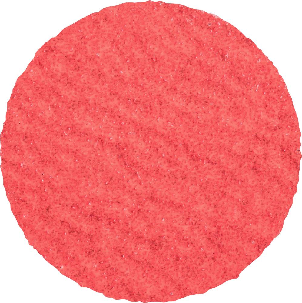 PFERD TOOLS CDR 50 CO-COOL 60 42776506 Schleifblatt Körnung (num) 60 (Ø) 50 mm 100 St.