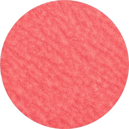 PFERD TOOLS 42778508 Kleinfiberschleifer Durchmesser 50 mm Aluminium, Bronze, Edelstahl, Titan, Temperguß 100 St.