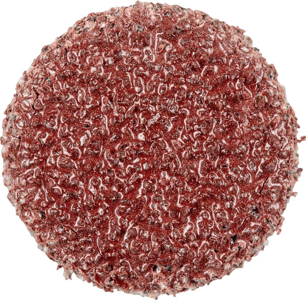 PFERD TOOLS PSA 12 A 60 42832006 Schleifblatt Körnung (num) 60 (Ø) 12 mm 100 St.