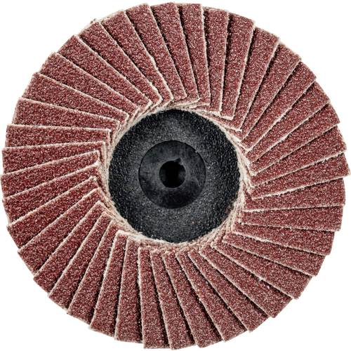 PFERD TOOLS 47202090 CDR PFF 50 A 80 Fächerschleifscheibe Durchmesser 50 mm Bronze, Titan, Titanlegierung, Kupfer, Messi...