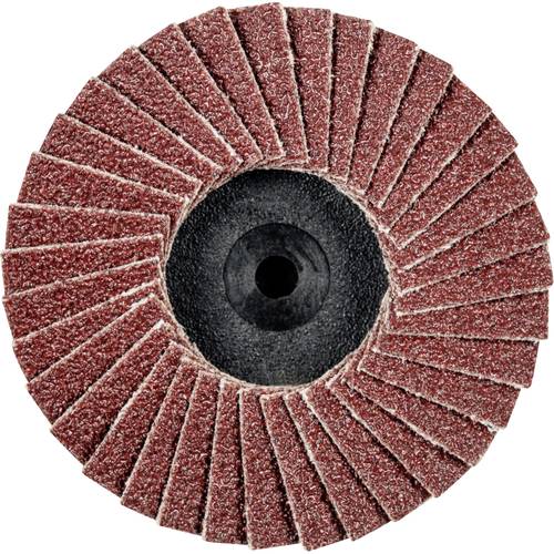 PFERD TOOLS 47202528 CDR PFF 50 A 60 Fächerschleifscheibe Durchmesser 50 mm Bronze, Titan, Titanlegierung, Kupfer, Messi...
