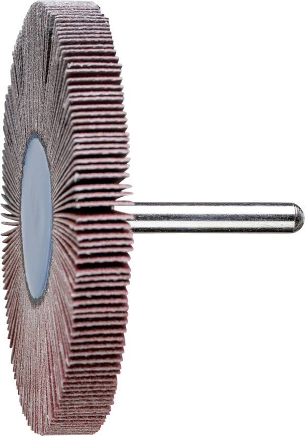 PFERD TOOLS 47801576 Fächerschleifer Durchmesser 80 mm    10 St.