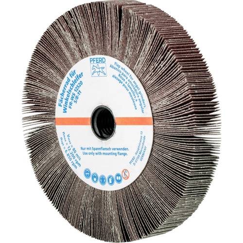 PFERD TOOLS 47802824 PFERD TOOLS 47802824 PFERD TOOLS 47802824 Fächerrad Durchmesser 125 mm 2 St. Durchmesser 125 mm 2 S...