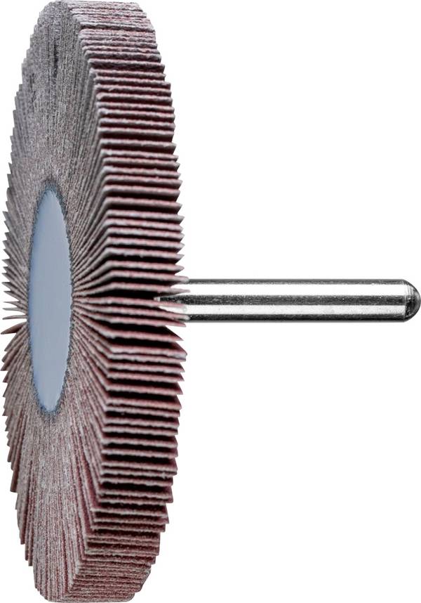 PFERD TOOLS 47802867 Fächerschleifer Durchmesser 80 mm    10 St.