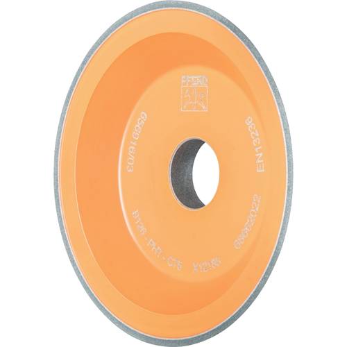 PFERD TOOLS 68662022 Schleifwerkzeug Durchmesser 100 mm 1 St.