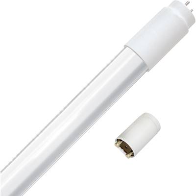 Eine weiße LED-Röhre und ein passender Starter abgebildet. Die LED-Röhre ist für energiesparende Beleuchtung geeignet.