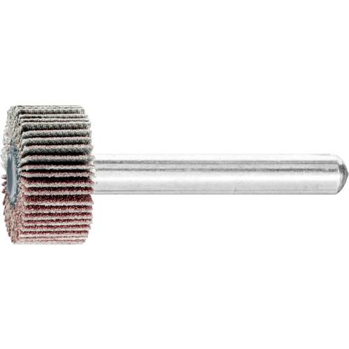 PFERD TOOLS 44400156 Fächerschleifer Durchmesser 20 mm 10 St.