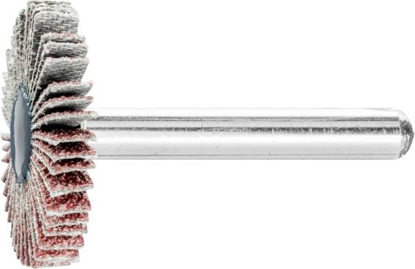 PFERD TOOLS 44401066 Fächerschleifer Durchmesser 30 mm    10 St.