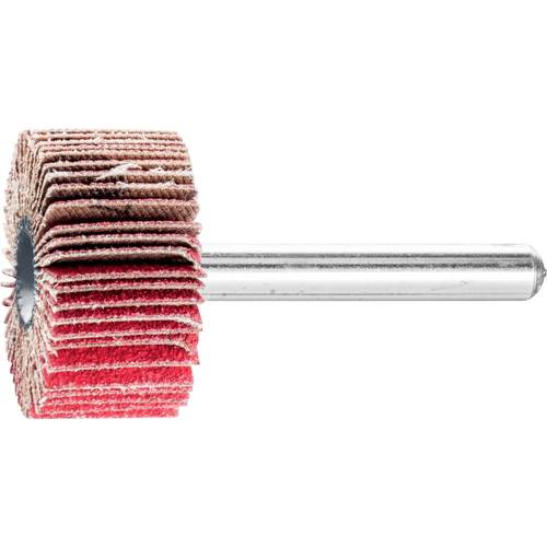 PFERD TOOLS 44409134 Fächerschleifer Durchmesser 30 mm 10 St.