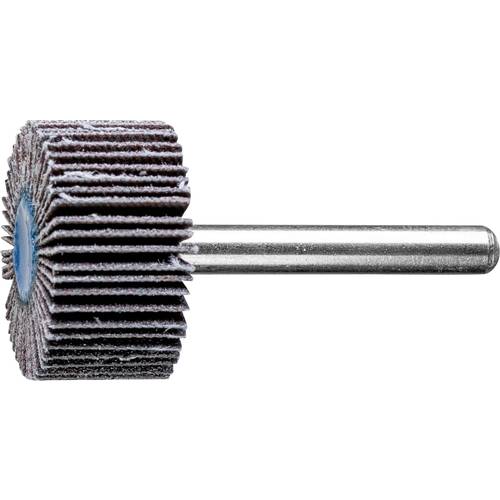 PFERD TOOLS 44415120 Fächerschleifer Durchmesser 30 mm 10 St.