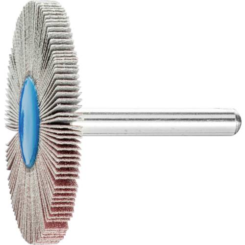 PFERD TOOLS 44418246 Fächerschleifer Durchmesser 50 mm 10 St.