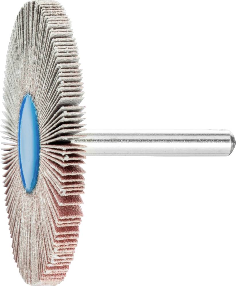 PFERD TOOLS 44419246 Fächerschleifer Durchmesser 60 mm 10 St.