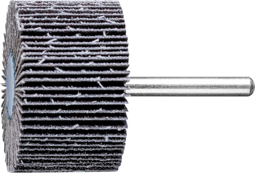 PFERD TOOLS 44450060 Fächerschleifer Durchmesser 50 mm 10 St.