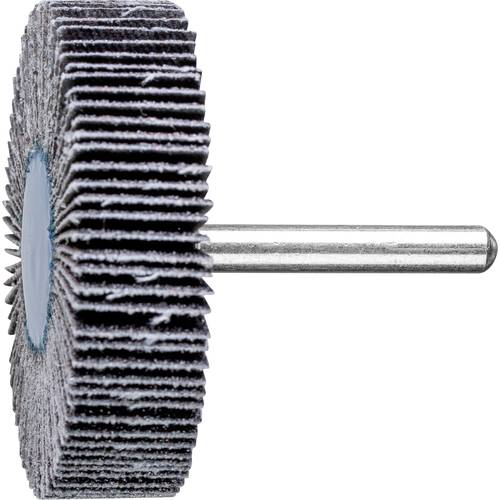 PFERD TOOLS 44460060 Fächerschleifer Durchmesser 60 mm 10 St.