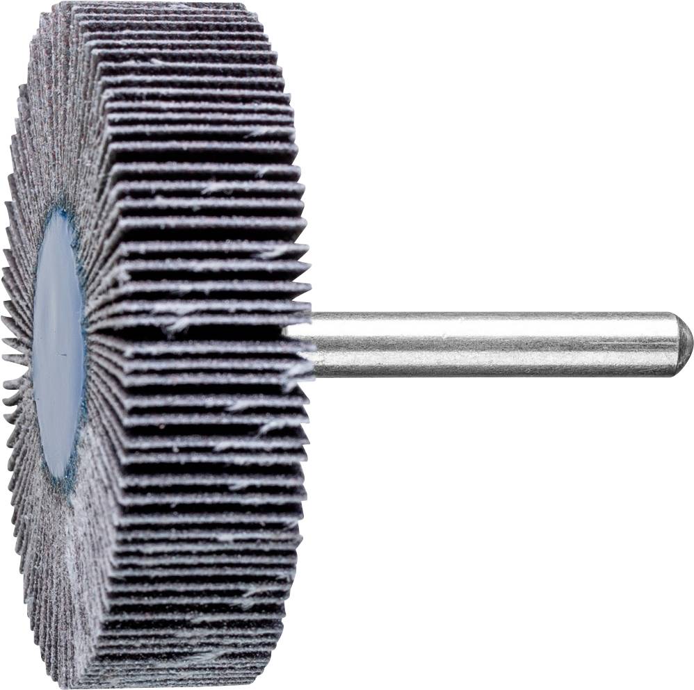 PFERD TOOLS 44460120 Fächerschleifer Durchmesser 60 mm 10 St.