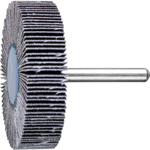 PFERD TOOLS 44460120 Fächerschleifer Durchmesser 60 mm 10 St.