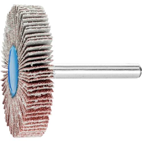 PFERD TOOLS 44505066 Fächerschleifer Durchmesser 50 mm 10 St.