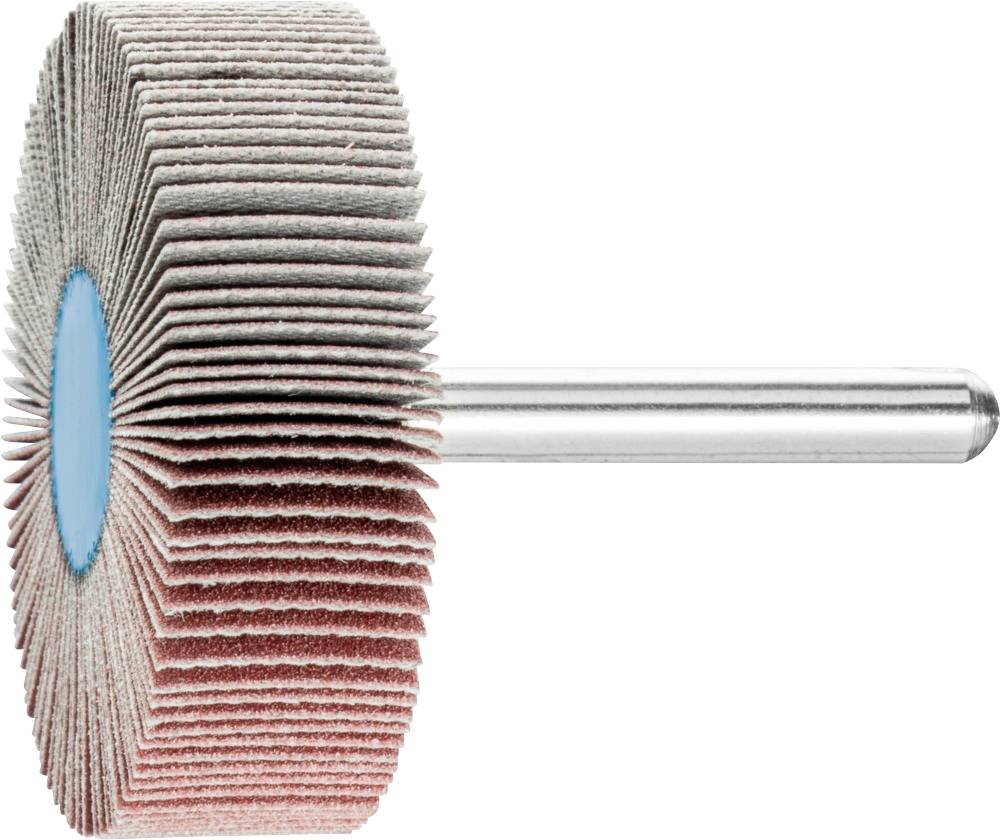 PFERD TOOLS 44506186 Fächerschleifer Durchmesser 50 mm 10 St.