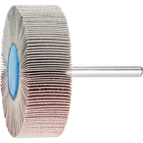 PFERD TOOLS 44508326 Fächerschleifer Durchmesser 60 mm 10 St.