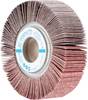 PFERD TOOLS 44710081 Fächerrad Durchmesser 100 mm 2 St.