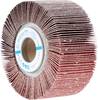 PFERD TOOLS 44712061 Fächerrad Durchmesser 100 mm 2 St.