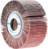 PFERD TOOLS 44712081 Fächerrad Durchmesser 100 mm 2 St.