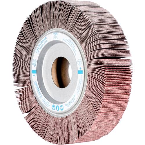 PFERD TOOLS 44738061 Fächerrad Durchmesser 200 mm 2 St.