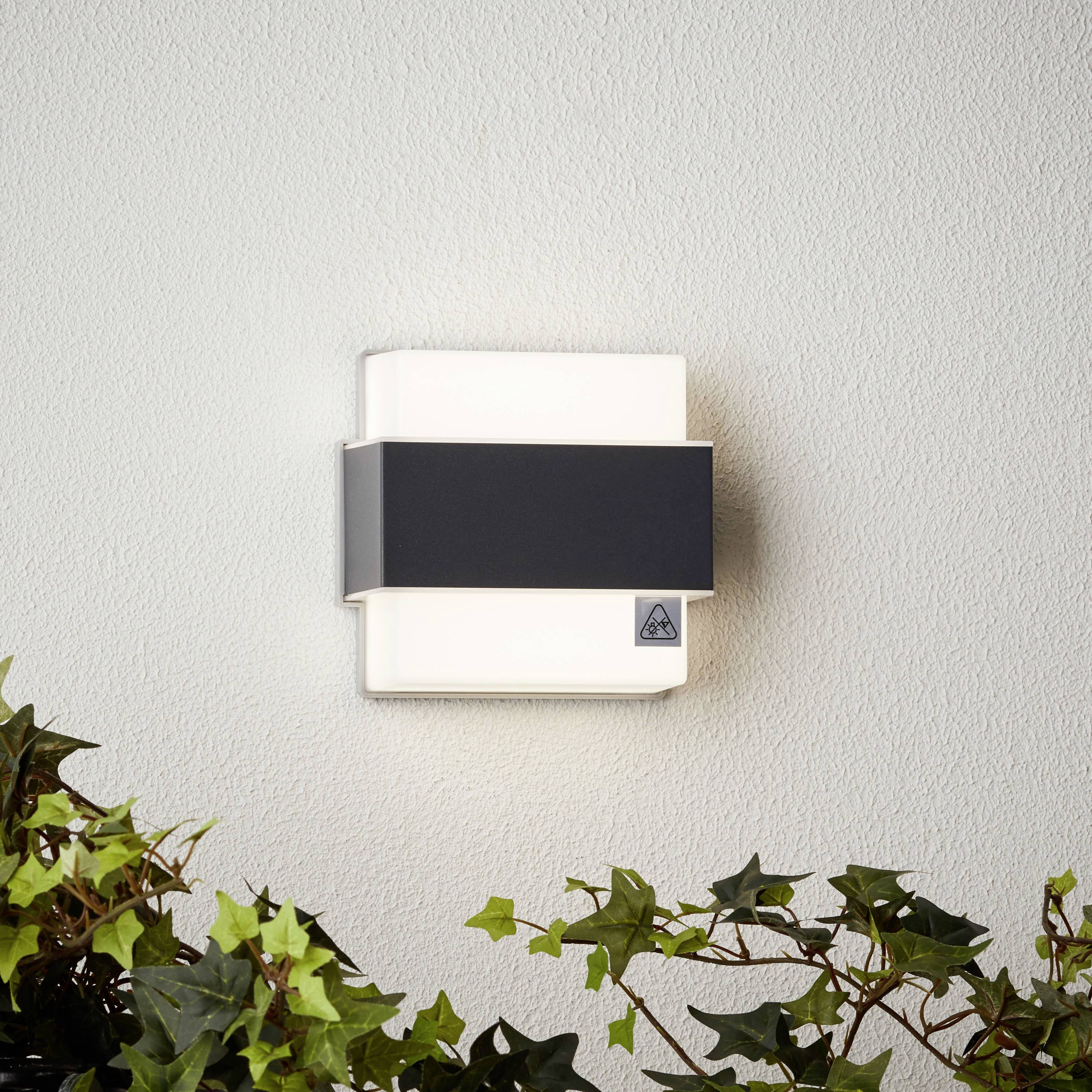 Wandleuchte mit schwarzem Band an der Wand, umgeben von grünen Pflanzen.