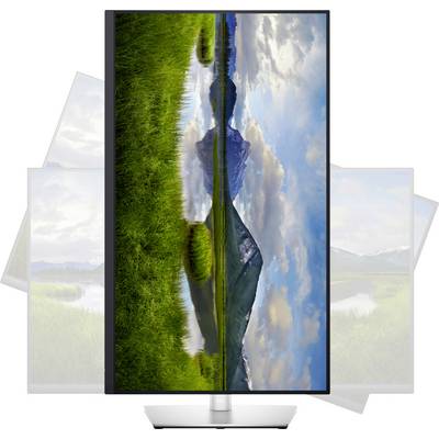 Dell P3221D LED-Monitor EEK E (A - G) 80 cm (31.5 Zoll) 2560 x 1440 Pixel 16:9 8 ms DisplayPort, HDMI®, USB-C®, USB-A (U-10