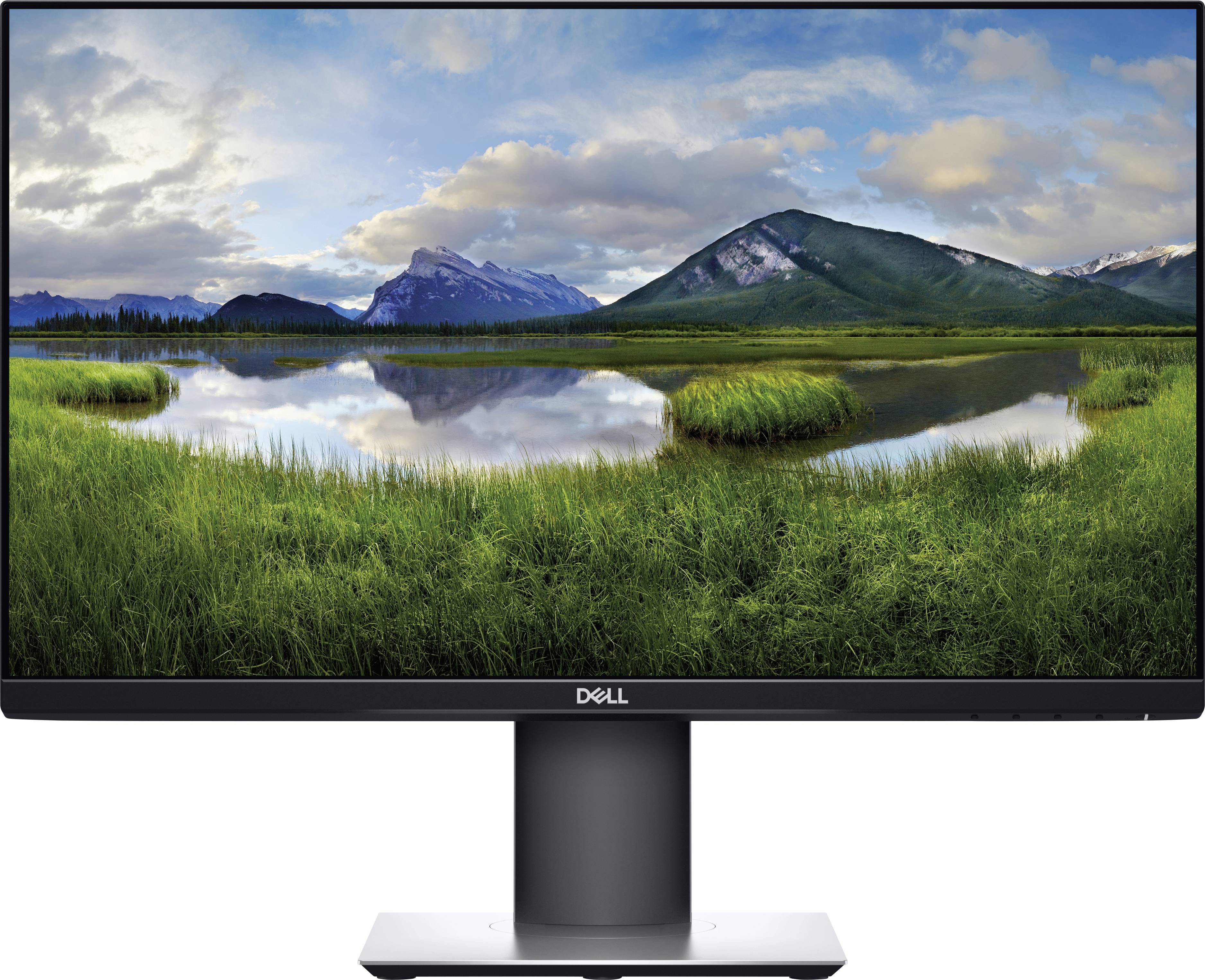 DELL P2319HE 58,4cm (23\")