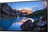 Dell UltraSharp U2422H - Ohne Standfuß - LED-Monitor - 61 cm (24")