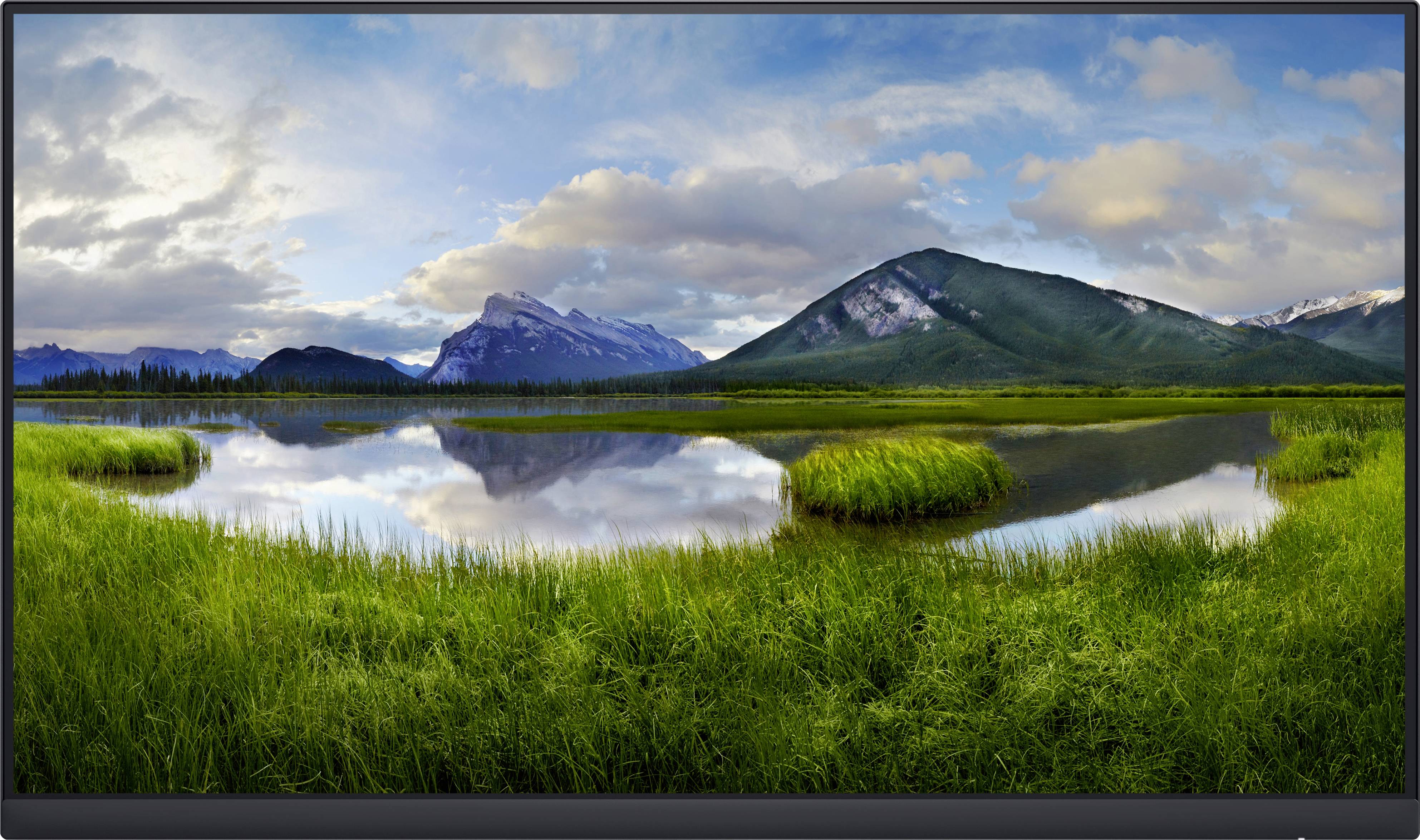 Dell P2422H LED-Monitor EEK C (A - G) 60.5 cm (23.8 Zoll) 1920 x 1080 Pixel 16:9 8 ms DisplayPort, VGA, HDMI®, USB-A (US-0