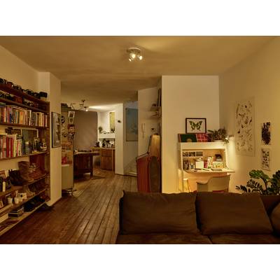 Gemütliches Wohnzimmer mit Holzboden und Regalen voller Bücher. Im Hintergrund eine Küche, am rechten Bildrand ein Schreibtisch.