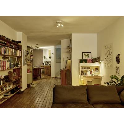 Wohnzimmer mit braunem Sofa, Holzboden und Regalen voller Bücher und Kameras. Im Hintergrund eine offene Küche und ein heller Schreibtisch.