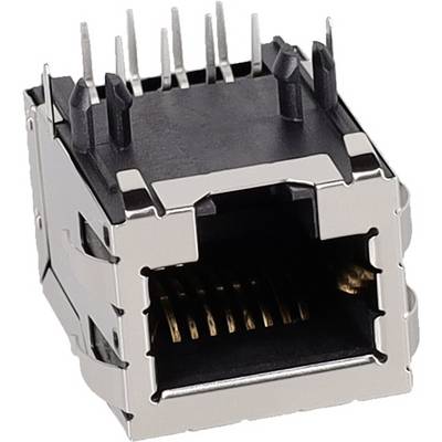 Eine Nahaufnahme eines Metall- und Kunststoff-Ethernet-Stecker-Connectors mit sichtbaren Kontaktstiften, der zur Vernetzung und Internetverbindung verwendet wird.