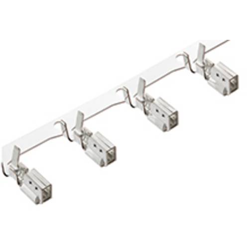 WTB/WTW/B-IN 502179101 Molex MOL Power & Signal Sol. Molex Inhalt: 1 St.