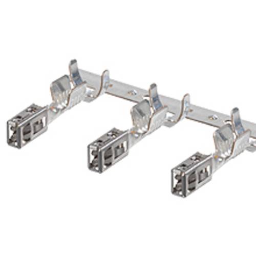 CP Term. 643241029 Molex Inhalt: 1 St.