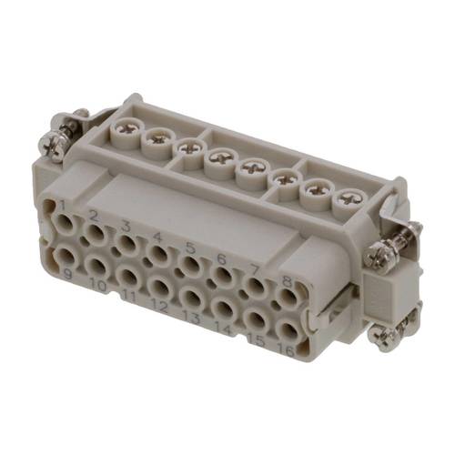Heavy Duty connector 936010143 MWE Industrial Solution Grau Molex Inhalt: 1 St.