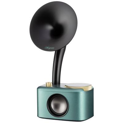 Ein moderner Lautsprecher im Retro-Design mit grünem Gehäuse und schwarzem Horn.