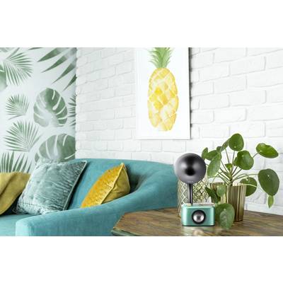 Ein Wohnzimmer mit türkisfarbenem Sofa, grünen Kissen, Pflanzen und einem Foto mit Ananasmotiv.