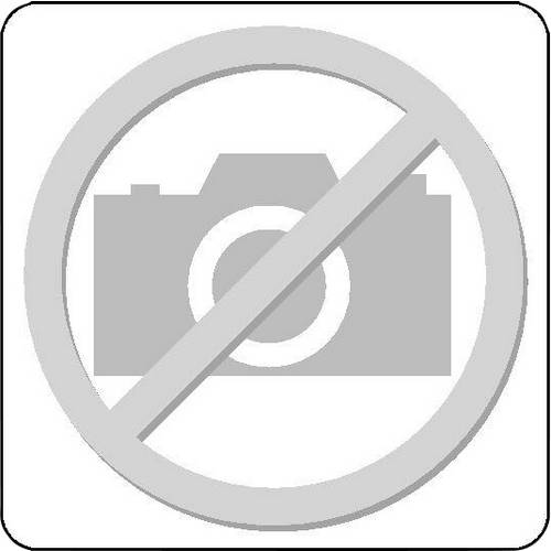 Thumbnail - Gedore 2322323 EI-1500 CT1-19 L Werkzeugeinlage (L x B x H) 310 x 158 x 35 mm