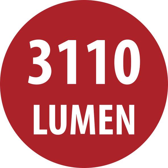 Rotes kreisförmiges Etikett mit weißem Text „310 LUMEN".