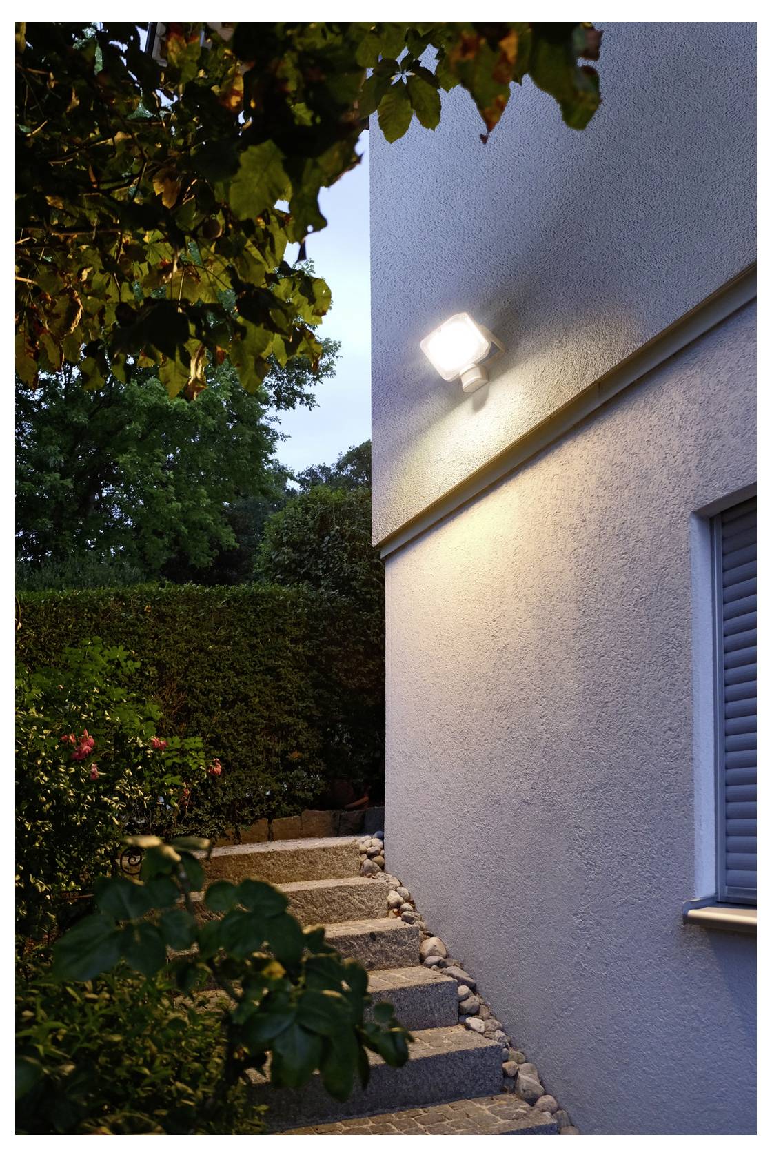 Außenseitenpfad neben einem Haus in der Dämmerung, beleuchtet durch eine wandmontierte Leuchte, mit Steinstufen, Hecke und Bäumen im Garten.
