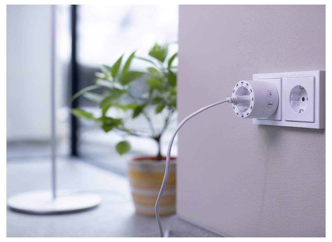 Weißer Stromstecker-Adapter, der mit einer Steckdose in der Wand verbunden ist, neben einer Topfpflanze und einer Stehlampe in einem Raum.