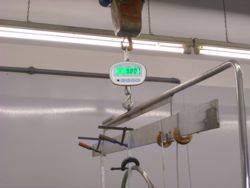 Eine industrielle Waage hängt an einer Schiene in einer Fabrikumgebung, zeigt ein Gewicht von 31,04 kg an.